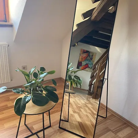 Casa Rustica Bodensee Ferienwohnungen Stetten  Buitenkant foto